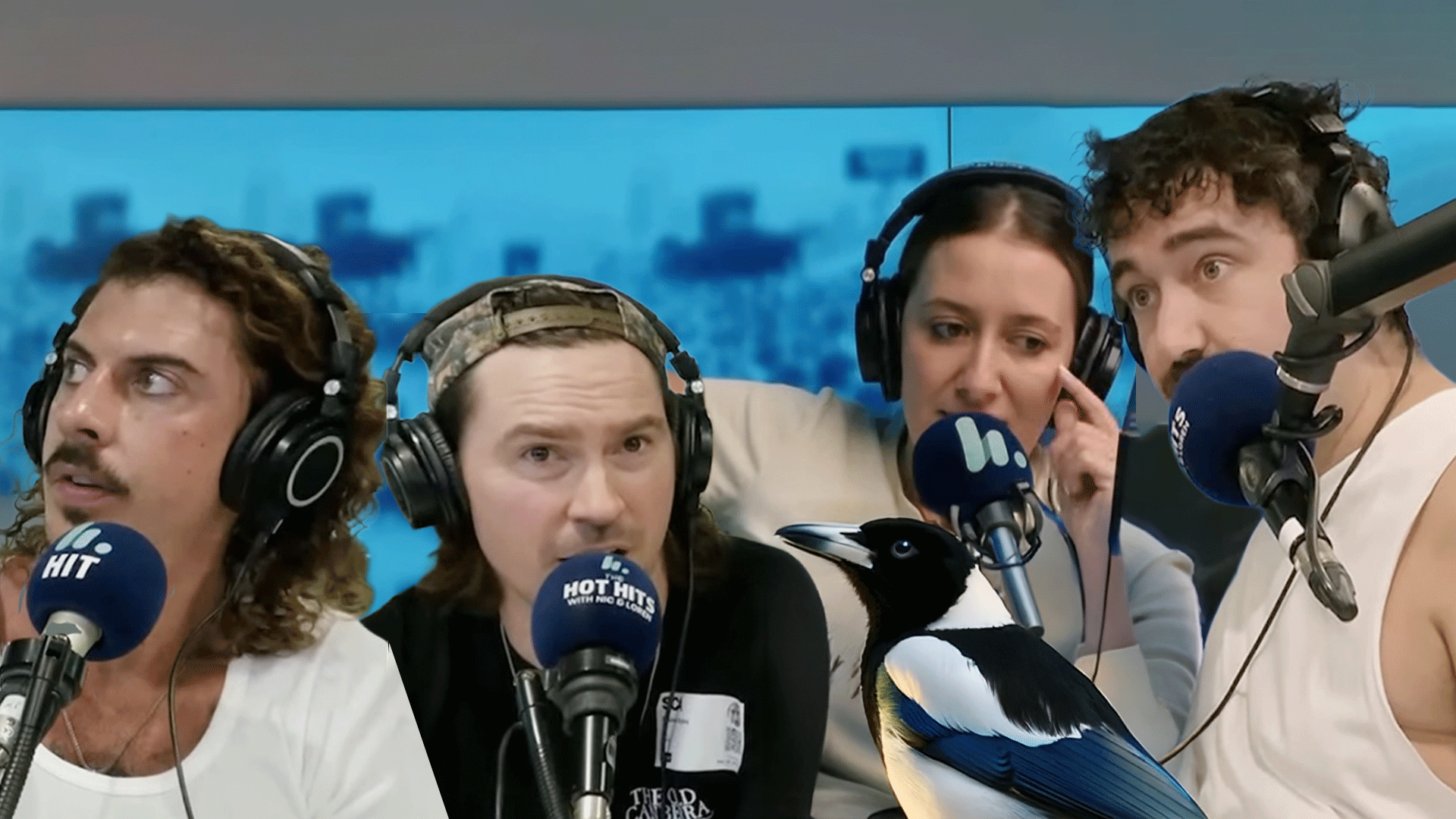 Peking Duk take a deep dive into Aussie birds.