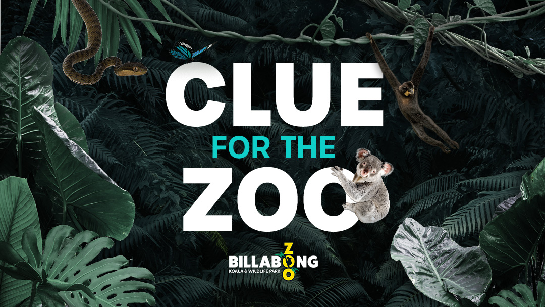 HIT’s Clue For The Zoo